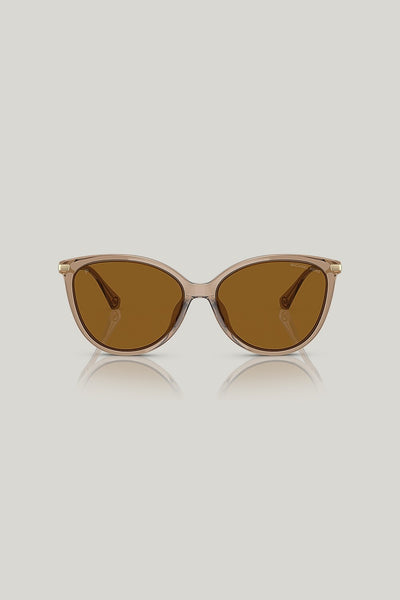 DUPONT Polarised - Brown - image 2
