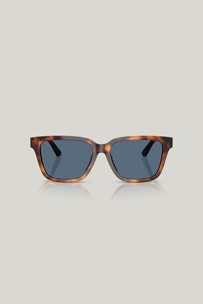 PH4247U - Tortoise - image 2