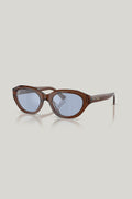 PH4237U - Brown - image 1