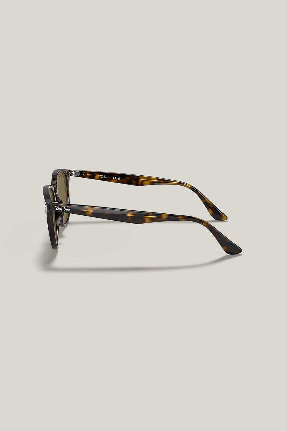 RB4259 - Tortoise - image 3