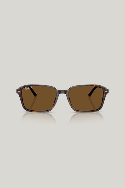 RAIMOND Polarised - Tortoise - image 2