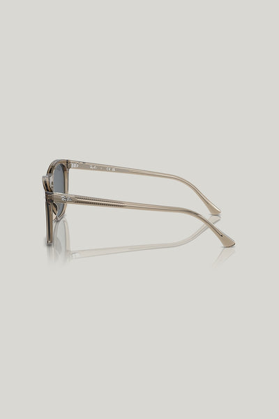 RB2210 - Brown - image 3