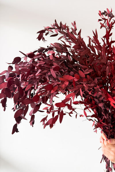 Preserved Small-leaf Gum - Maroon - image 3