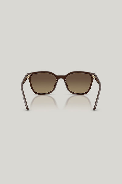 AX4168SU Polarised - Brown - image 4
