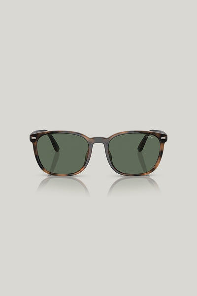 PH4208U - Tortoise - image 2