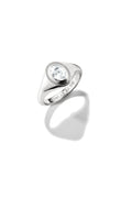 Signet Ring In Silver - Silver - image 1