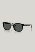 RB4461D - Black - image 1