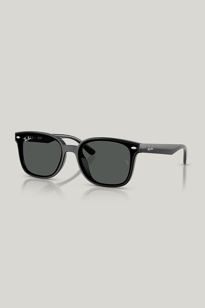 RB4461D - Black - image 1