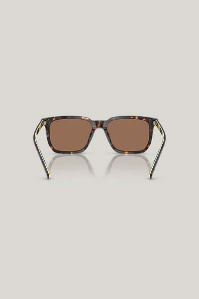 PH4224U - Tortoise - image 4