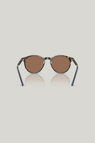 PH4236 - Tortoise - image 4
