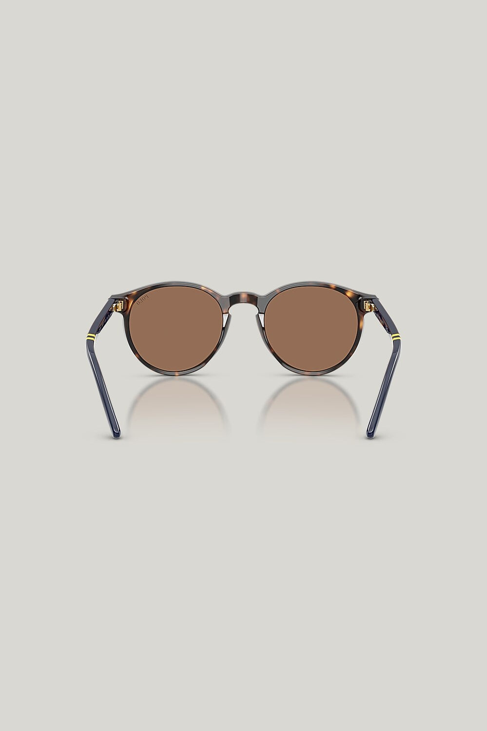 PH4236 - Tortoise - image 4