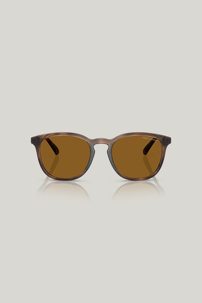 PH4222U Polarised - Tortoise - image 2