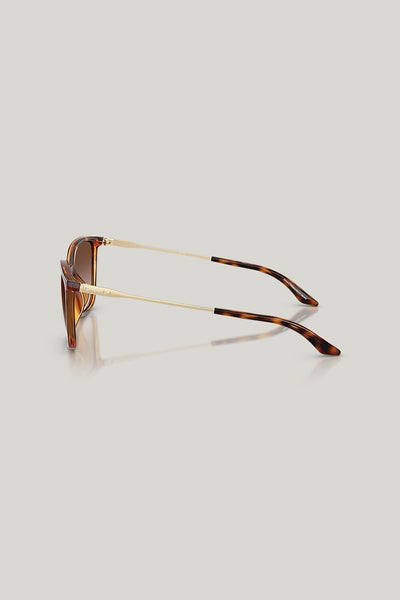 AX4171SU - Tortoise - image 3