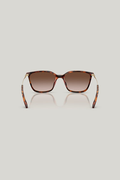 AX4171SU - Tortoise - image 4