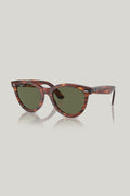 WAYFARER WAY Polarised - Brown - image 1