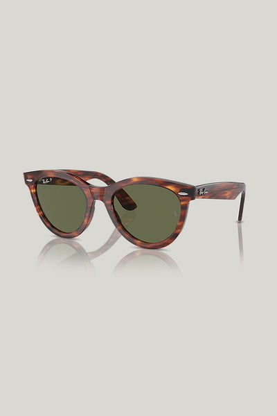WAYFARER WAY Polarised - Brown - image 1