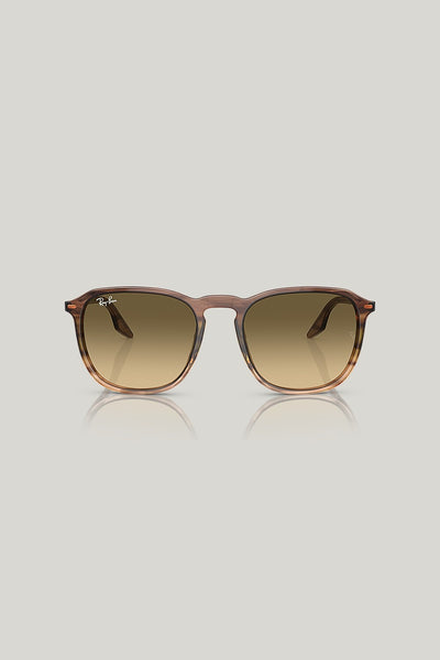 RB2203 - Brown - image 2