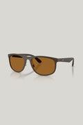 RB4468 POLARIZED S LENSES Polarised - Brown - image 1