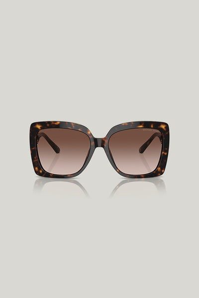 NICE - Tortoise - image 2