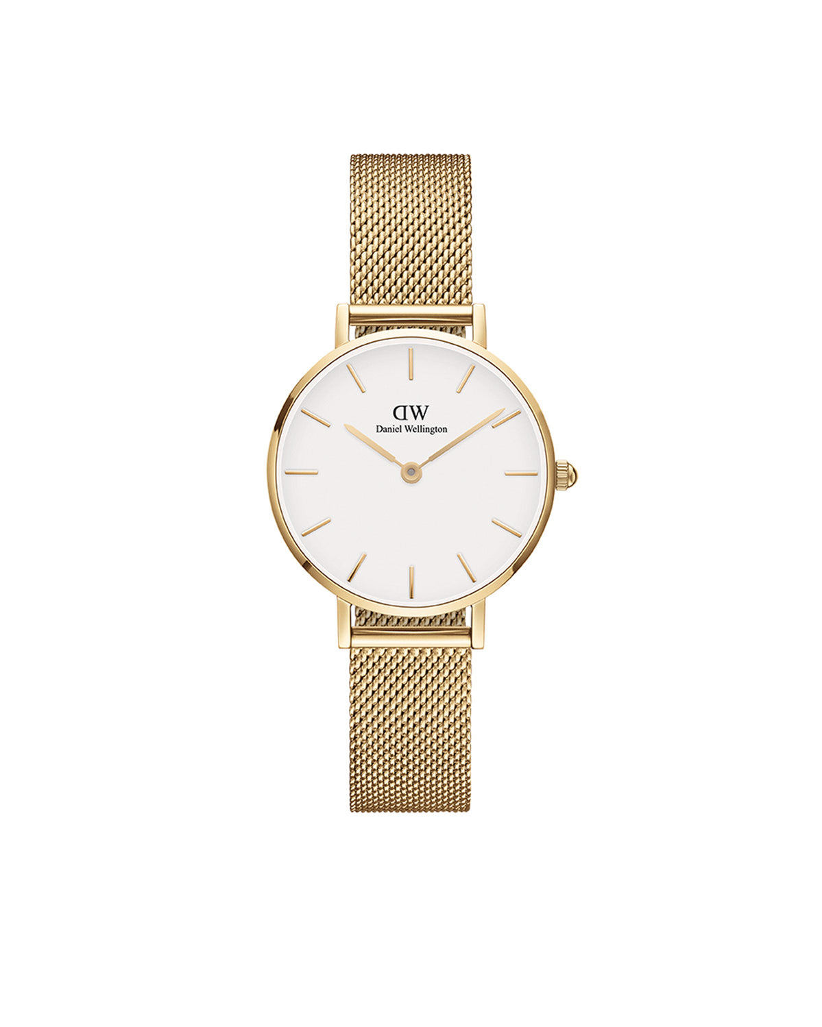 Petite 28 Evergold Gold White Watch - Gold - image 1