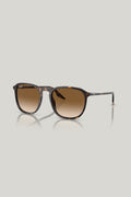 RB2203 - Tortoise - image 1