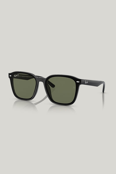 RB4392D Polarised - Black - image 1