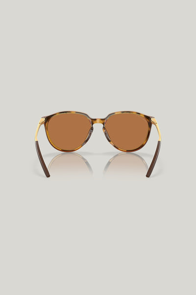 SIELO Polarised - Brown - image 4