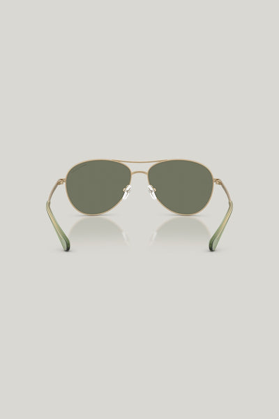 AX2061S Polarised - Black - image 4
