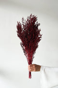 Preserved Misty - Maroon - image 1