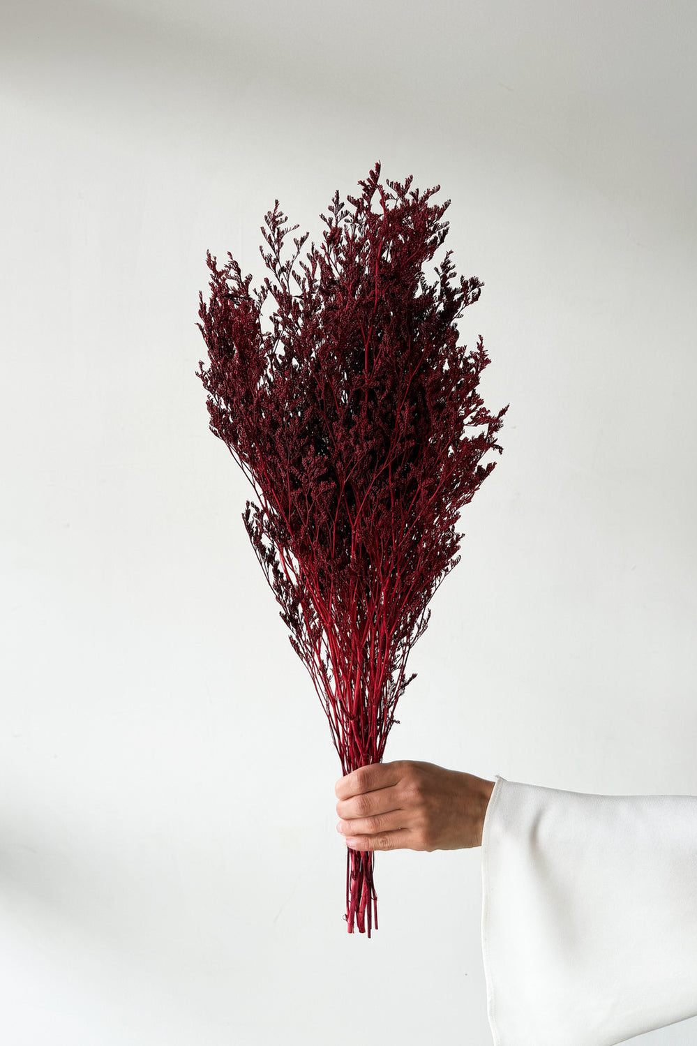 Preserved Misty - Maroon - image 1