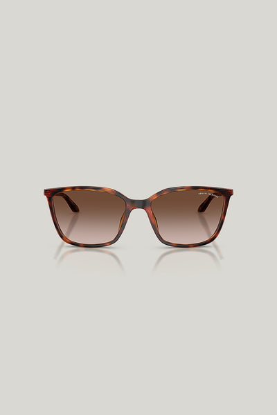 AX4171SU - Tortoise - image 2