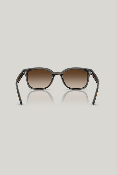 RB4461D - Tortoise - image 4