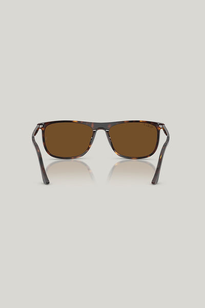 RB2216 Polarised - Tortoise - image 4