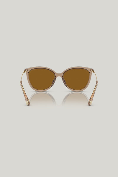 DUPONT Polarised - Brown - image 4