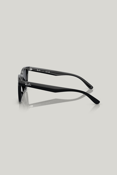 RB4420 - Black - image 3