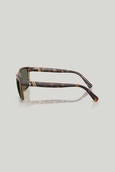 PH4133 - Tortoise - image 3