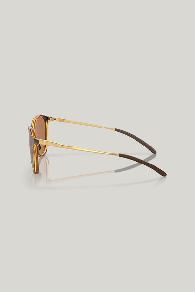SIELO Polarised - Brown - image 3