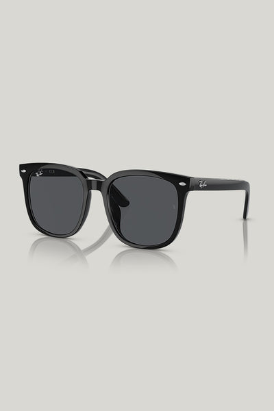 RB4401D - Black - image 1